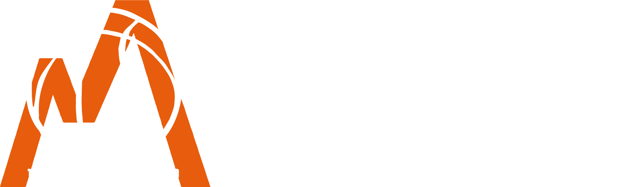 Maen Basketball Camp